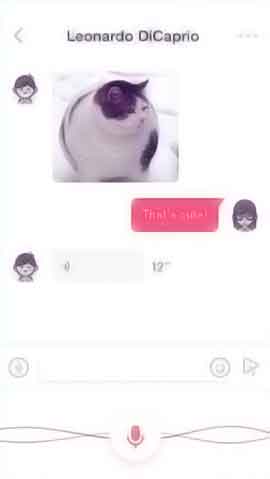 在线DDOS压力测试网页端软件程序维护界面